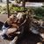 Gracie Jane's profile image