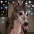 Victoria Sproesser's profile image