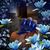 Lucy Ring's profile image