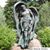Soni Dolge's profile image