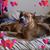 Terry Loveless's profile image