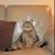 Beverly Vogt's profile image