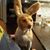 Mark Huesgen's profile image