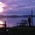 Debbie Cornish's profile image