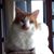 Marrianne Whisenhunt's profile image