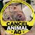 Stacey Toibin's profile image