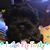 Sabrina Jenkins Flagg's profile image