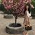 Annie Pham's profile image