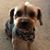 Darlene Baker Smith's profile image