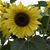 Debby Neely's profile image