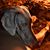 Tulio Delgado's profile image