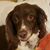 Cheyenne Chantne Carpenter's profile image