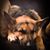 Shala Geiger's profile image