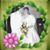 Shandra Bailey Tinney's profile image