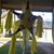 Karen Morgan-Jackson's profile image