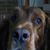 Steve R McDermott's profile image