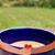 Beth Patry's profile image
