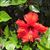 Cherie Wascher Dottle Matis's profile image