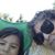 Gloria Castellanos's profile image