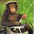 Edward Stroup's profile image