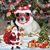 Karen Kuhle's profile image