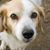 Marilyn Drake's profile image