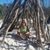 Nancy Campbell Kirby's profile image
