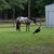 Jeri Davidson's profile image