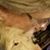 Julie Lloyd Atkinson's profile image