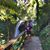 Judy McGough's profile image