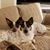 Kathleen M Todd's profile image