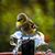 MeriAnne Bennett Huff's profile image