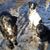 Sara Epperhart's profile image