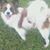 Mitch N Sheila Davis's profile image