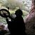 Moya Davina Nasr's profile image