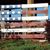 Laura Sauls Terry's profile image
