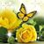 Kathy Curtner's profile image