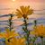 Angela Marie McGinnis's profile image