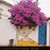 Lisa Kennedy's profile image