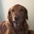Mike McCormick's profile image