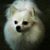 Debi Albert Brewer's profile image