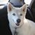 Sandy Hance Russell's profile image