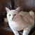 Theda Julien Roe's profile image