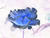 kim m.'s profile image