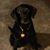 Patty Marker-Stanton's profile image