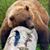 JoLynne Holbrook Huotte's profile image
