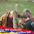 John Workman's profile image