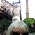 Diane Warner's profile image