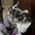 Kathleen Sawyer's profile image
