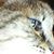 Dawn Marie Davis's profile image